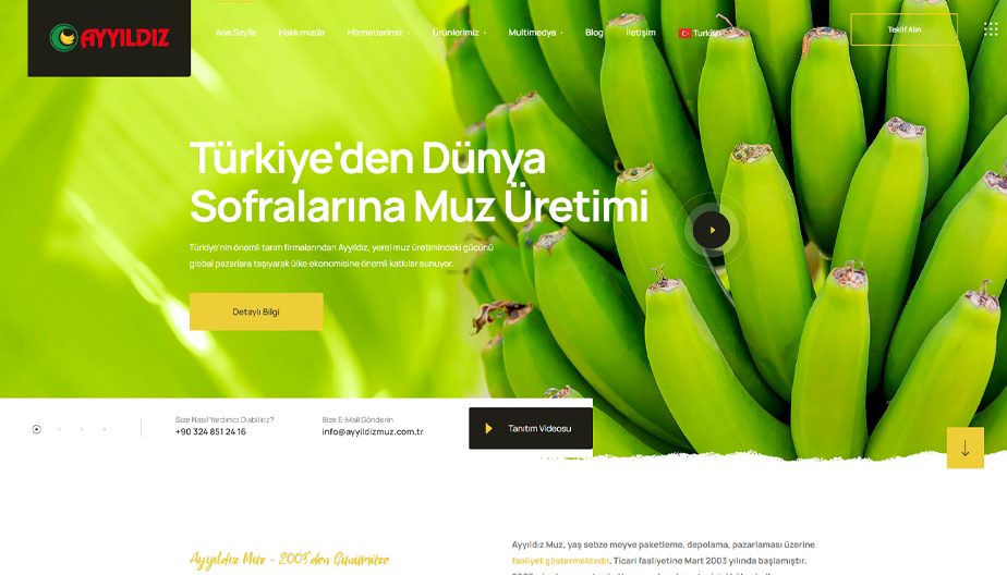 Ayyıldız Muz